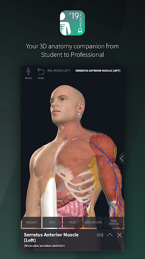 Complete Anatomy 19 for Android 4.2.0 for MAC App Preview 1