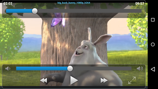 VLC Streamer for MAC App Preview 2