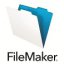 FileMaker icon