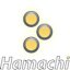 Hamachi icon