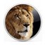 Lion Recovery Disk Assistant icon