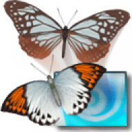 3D Desktop Butterfly Screen Saver icon