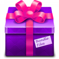 Bundle Files icon