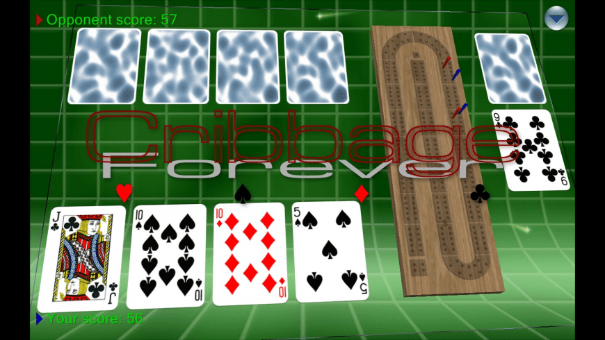Cribbage Forever preview
