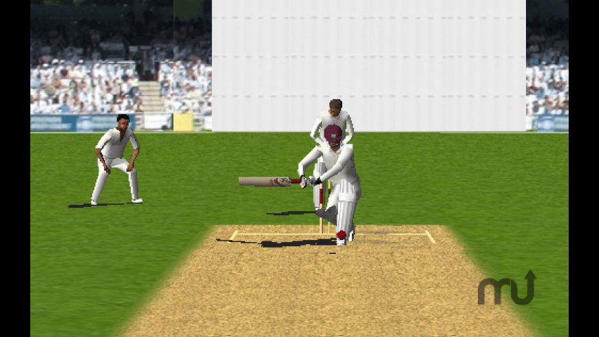 Cricket 3D preview