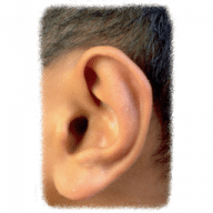 Dolce Ear Training icon