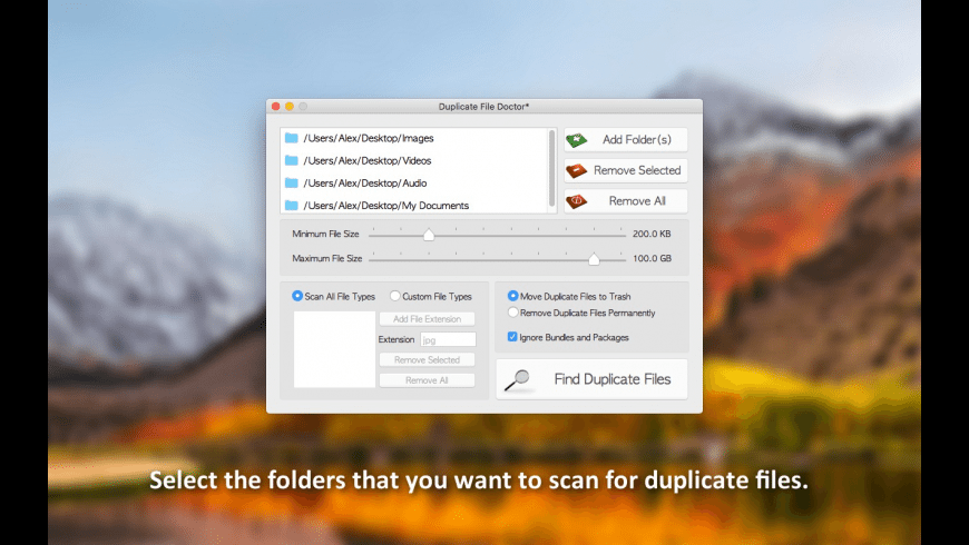 Duplicate File Doctor preview