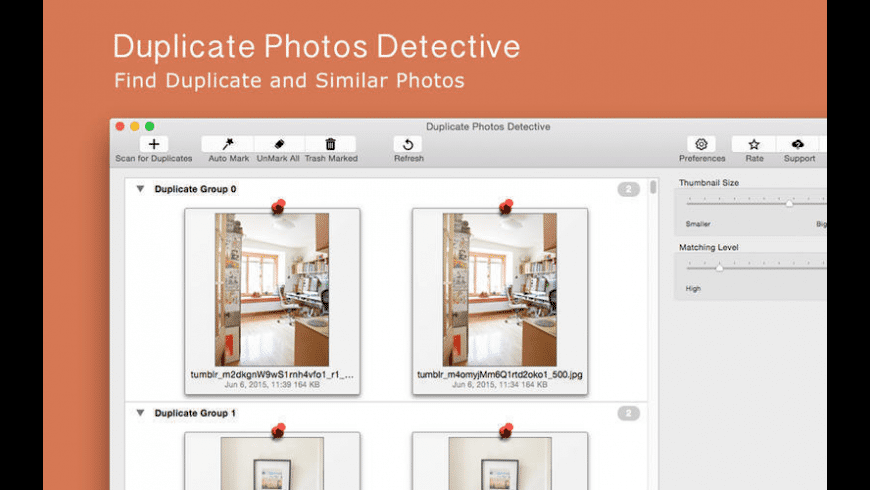 Duplicate Photos Detective preview