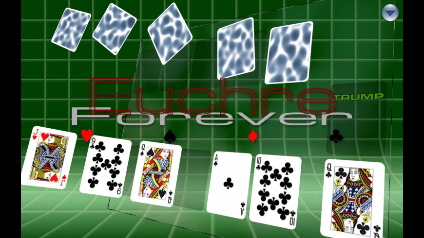 Euchre Forever preview