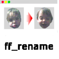 ff_rename icon