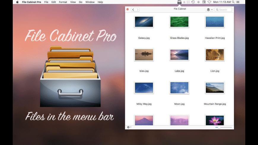 File Cabinet Pro preview