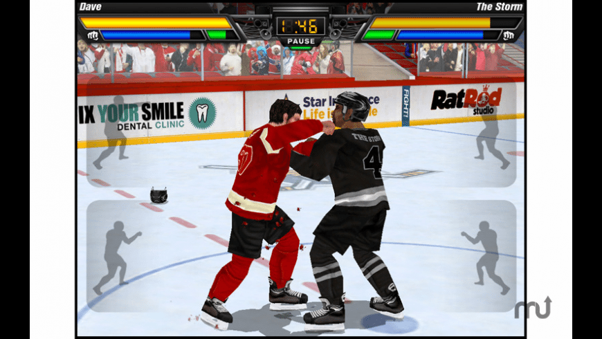 Hockey Fight Pro preview