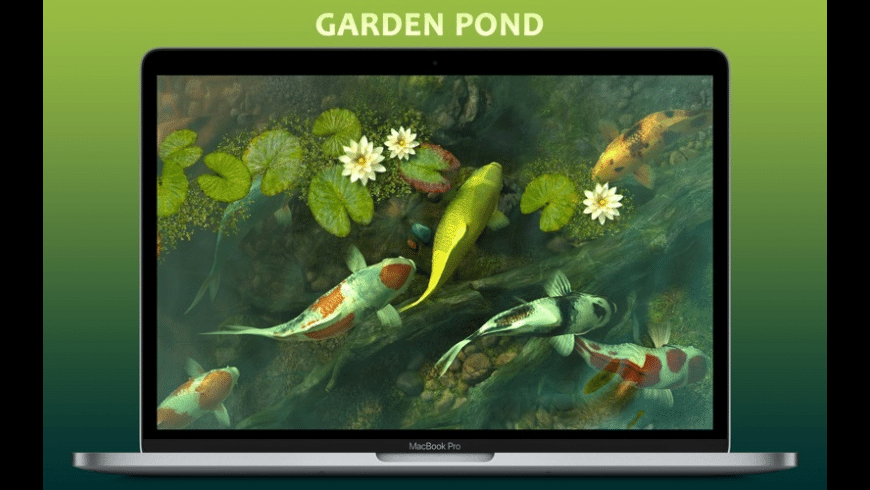 koi pond 3d mac free download