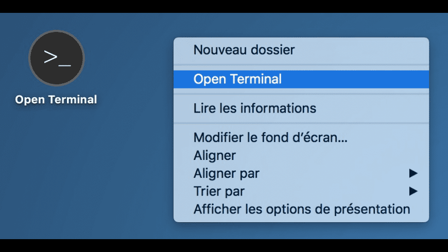 Open Terminal preview