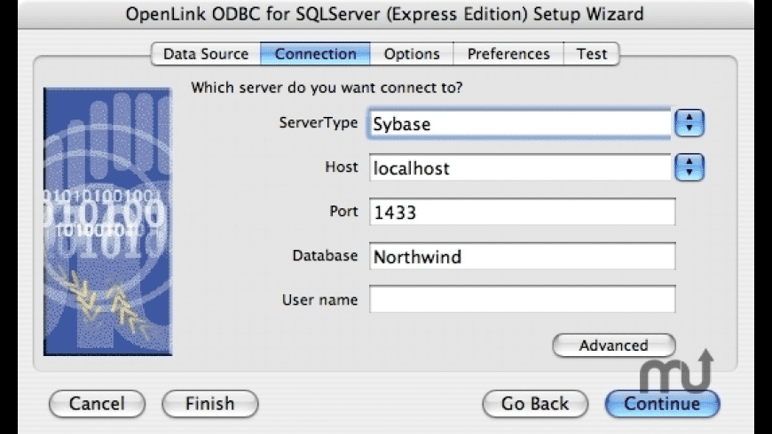 OpenLink Express ODBC Driver for Sybase preview