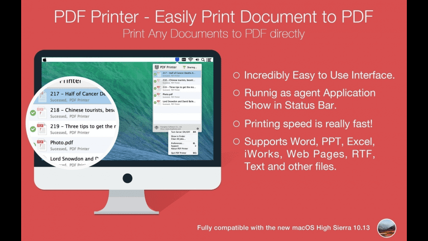 PDF Printer preview