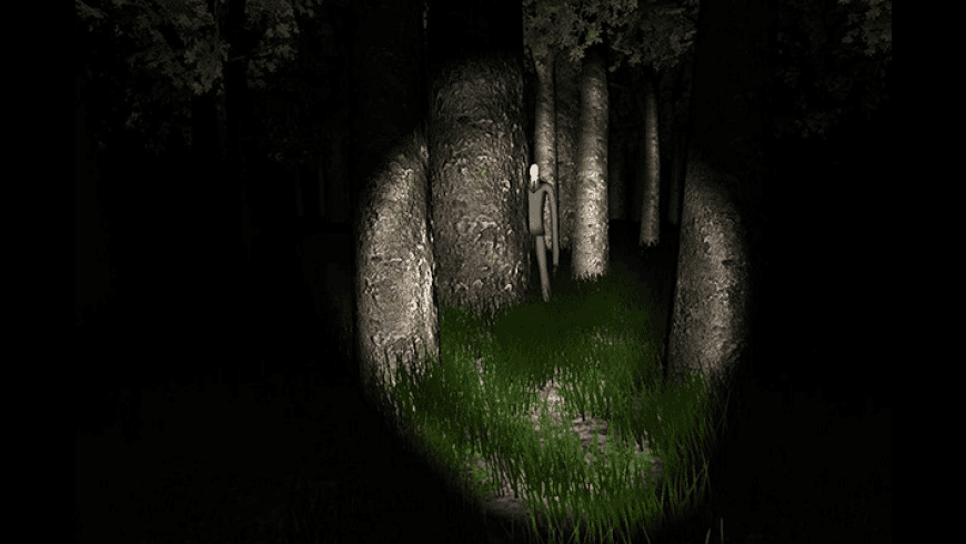 Slender - The Eight Pages preview