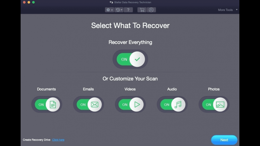 Stellar Data Recovery Premium preview