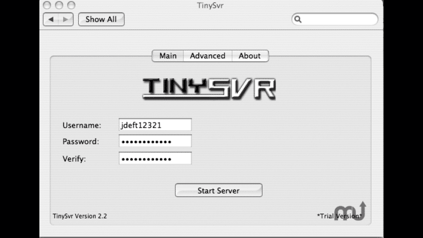 TinySvr preview